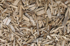 biomass boilers Pabail Uarach